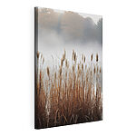 Wandbilder Hohes Gras mit Nebel im Hintergrund