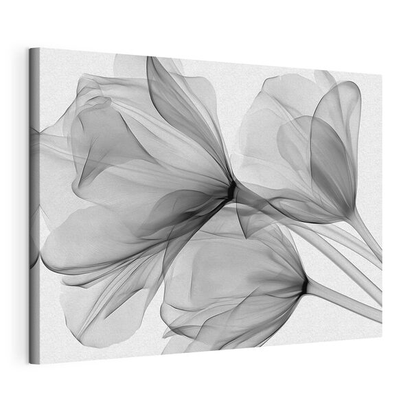 Wandbilder Wandbilder Blumenarrangement mit Tüll (Artikelnummer: s49892)
