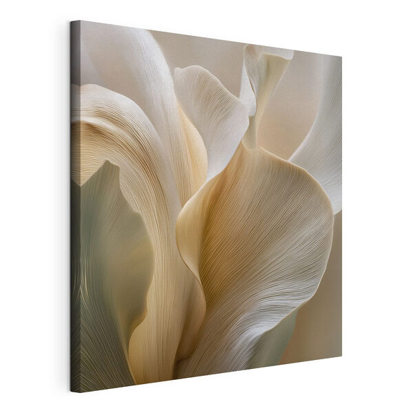 Wandbilder Wandbilder Zarte Kurven der Schönheit der Natur (Artikelnummer: s49948)