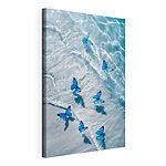 Wandbilder Gruppe blauer Schmetterlinge auf dem Wasser schwimmend