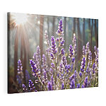 Wandbilder Sonnenlicht badet Lavendel im Wald