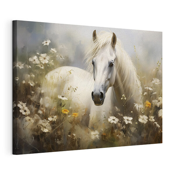 Weißes Pferd in einem Blumenfeld Wandbilder Weißes Pferd in einem Blumenfeld