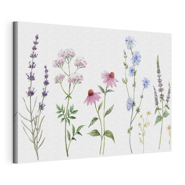Wandbilder Gruppe von Blumen auf einem weißen Hintergrund (Artikelnummer: s34064) Wandbilder Wandbilder Gruppe von Blumen auf einem weißen Hintergrund (Artikelnummer: s34064)