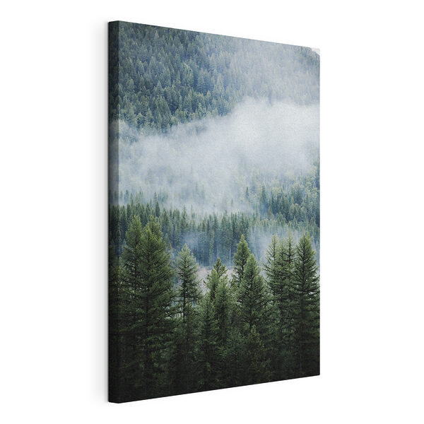 Wandbilder Wandbilder Wald mit Nebel und Wolken (Artikelnummer: s34825)