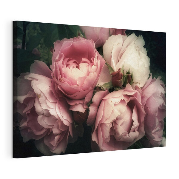 Blühende Schönheit in zarten rosa Tönen Wandbilder Blühende Schönheit in zarten rosa Tönen