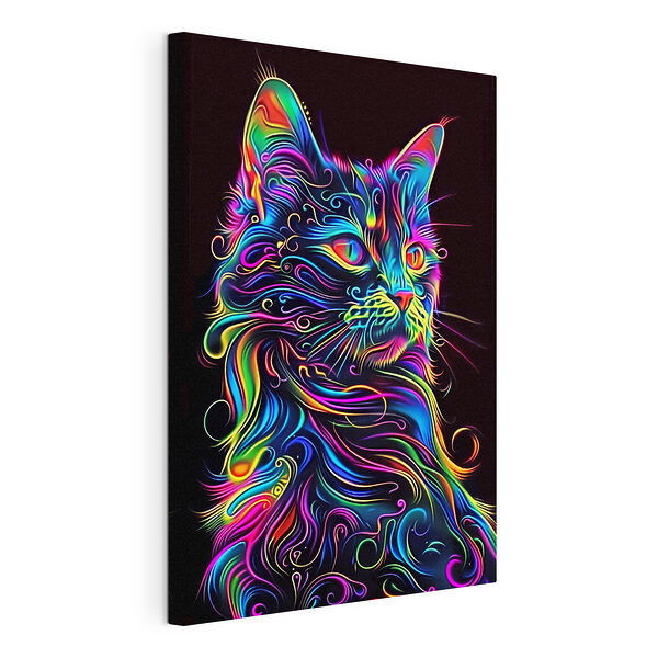 Bunte Katze mit schwarzem Hintergrund Wandbilder Bunte Katze mit schwarzem Hintergrund