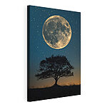 Wandbilder Baum und der Mond am Himmel