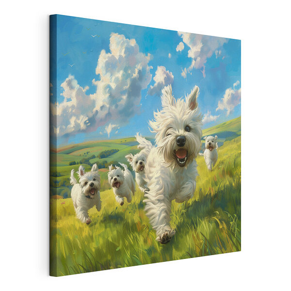 Gruppe von weißen Hunden, die in einem Feld laufen Wandbilder Gruppe von weißen Hunden, die in einem Feld laufen