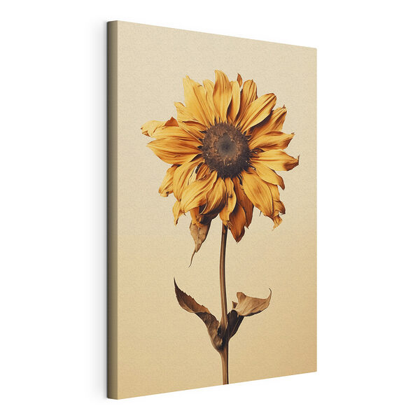 Sonnenblume mit brauner Mitte Wandbilder Sonnenblume mit brauner Mitte