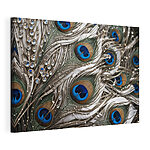 Wandbilder Mit Tautropfen geschmückte Pfauenfedern