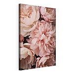 Wandbilder Gruppe von rosa Blumen