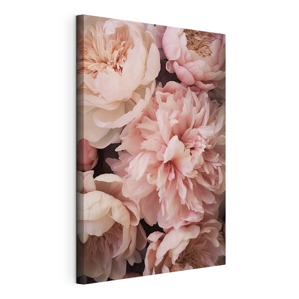 Gruppe von rosa Blumen Wandbilder Gruppe von rosa Blumen