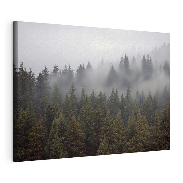 Wandbilder Baumgruppe mit Nebel