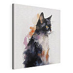 Wandbilder Katze mit weißem und schwarzem Gesicht