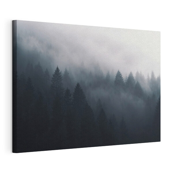 Wandbilder Nebliger Wald mit Bäumen
