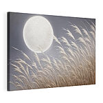 Wandbilder Der Mond am Himmel