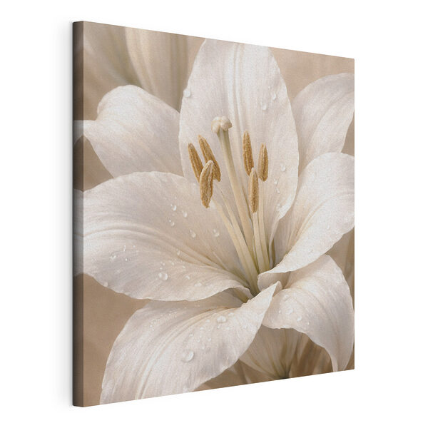 Wandbilder Zarte weiße Blume im sanften Licht (Artikelnummer: s48028) Wandbilder Wandbilder Zarte weiße Blume im sanften Licht (Artikelnummer: s48028)