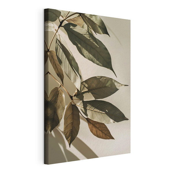 Wandbilder - Elegante Blätter, die sanfte Schatten werfen (Artikelnummer: s48627) Wandbilder Wandbilder - Elegante Blätter, die sanfte Schatten werfen (Artikelnummer: s48627)