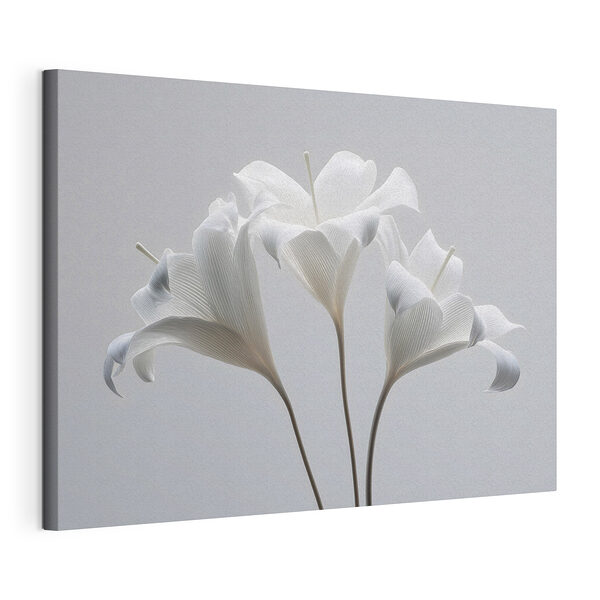 Wandbilder Gruppe weißer Blumen