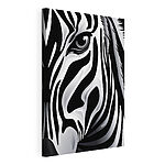 Wandbilder Zebra in auffälligem Schwarz-Weiß