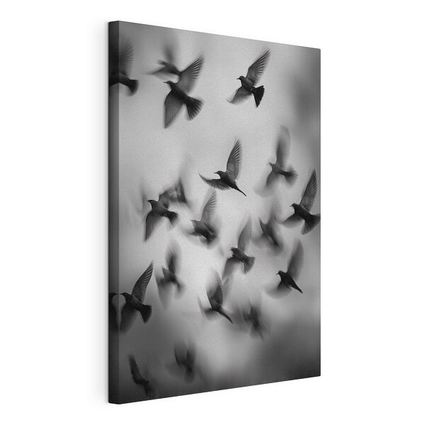 Wandbilder Ein Vogelschwarm fliegt am Himmel (Artikelnummer: s49022) Wandbilder Wandbilder Ein Vogelschwarm fliegt am Himmel (Artikelnummer: s49022)