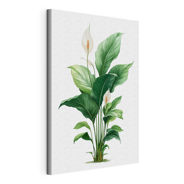 Wandbilder Wandbilder Pflanze mit weißen Blüten und grünen Blättern (Artikelnummer: s49335)