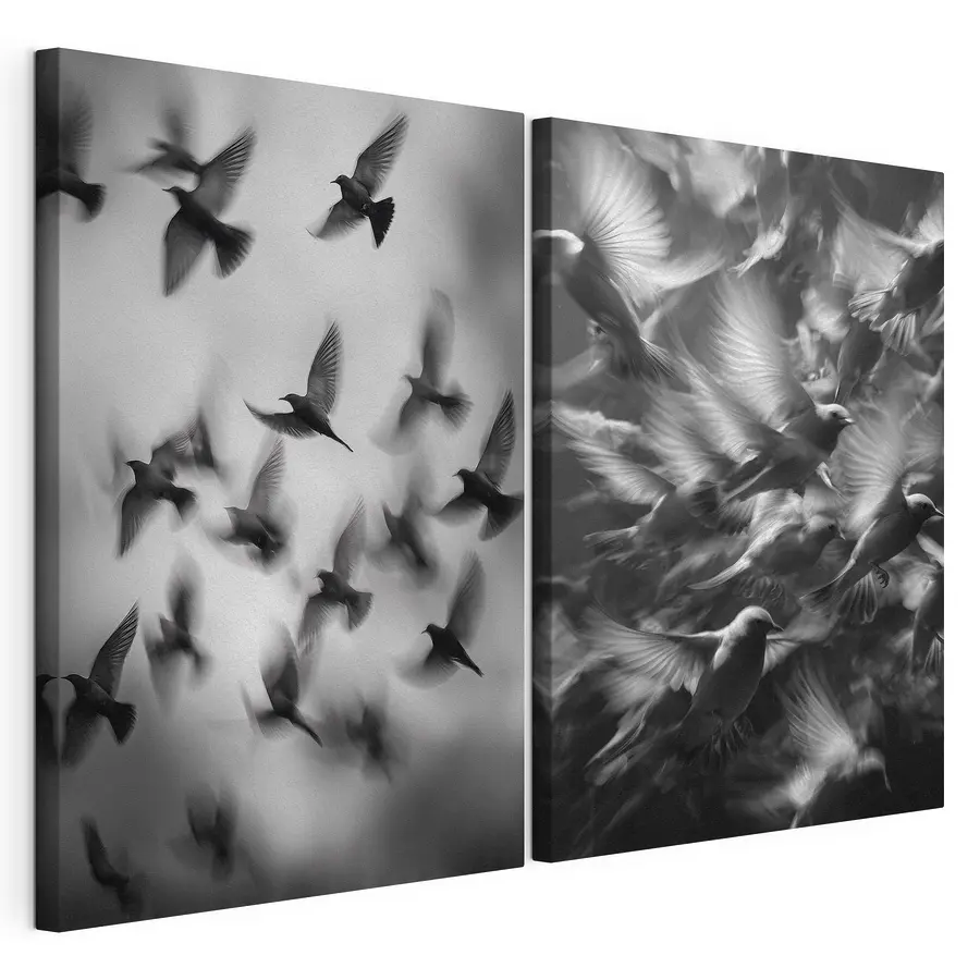 Mehrteiliges Leinwandbild Collage mit fliegenden Vögeln (Artikelnummer: m30421)