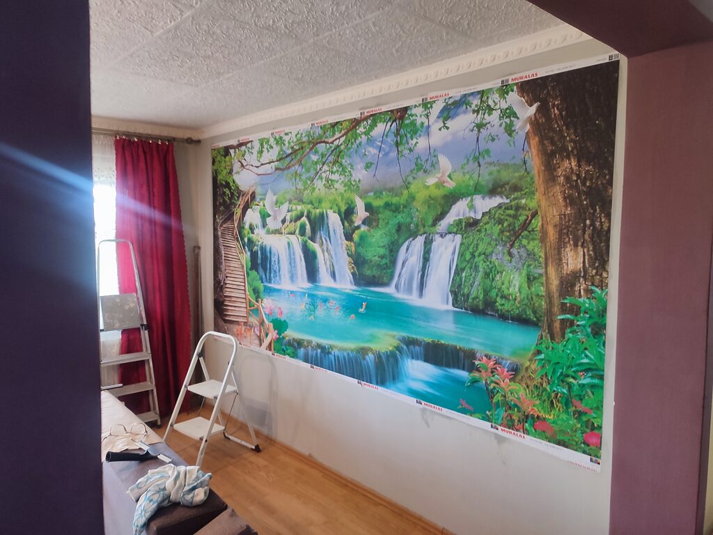 Bild #1 von Magerusan Bianca