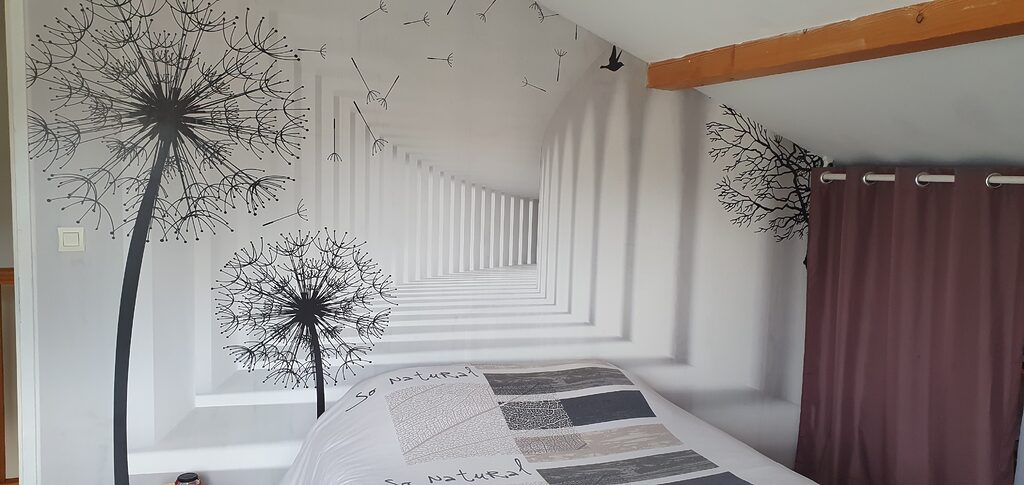 Bild #1 von Olivier Mauffrey