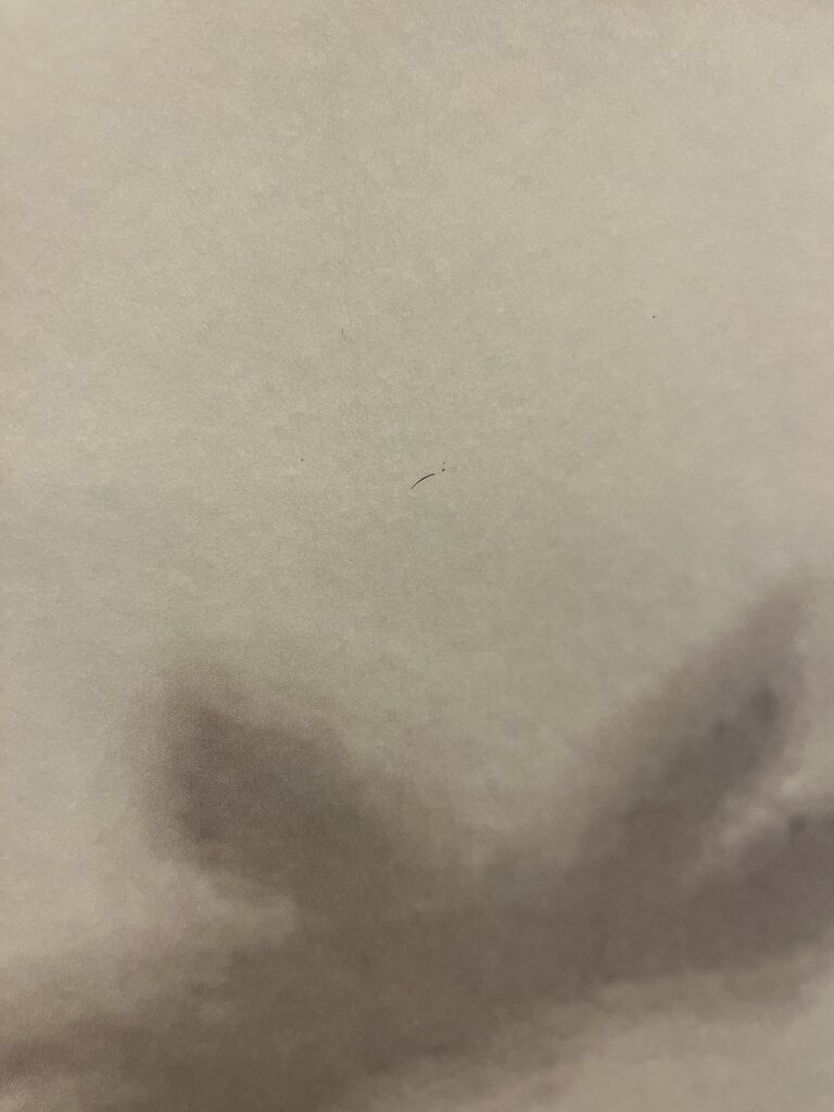 Bild #1 von Christian