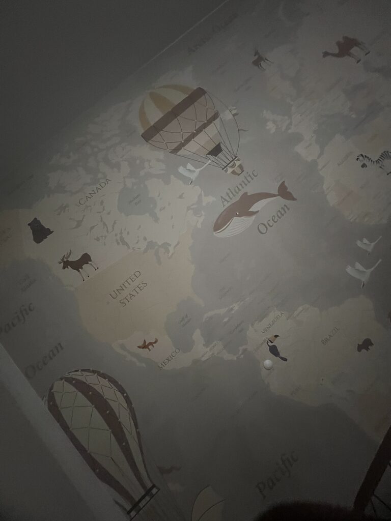 Fototapete Weltkarte mit Flugzeugen und Heißluftballons